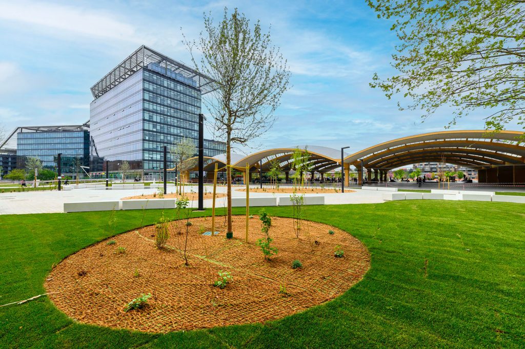 Giardino Piazza Lucio Dalla dopo i lavori di riqualificazione