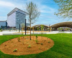 Giardino Piazza Lucio Dalla dopo i lavori di riqualificazione
