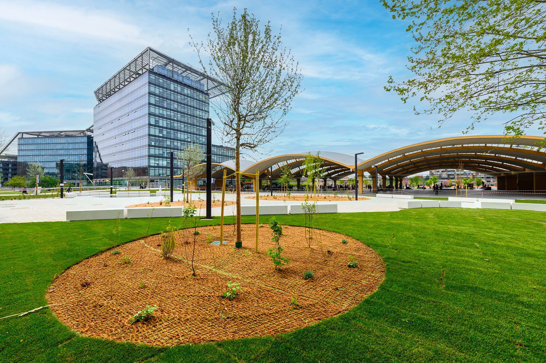 Giardino Piazza Lucio Dalla dopo i lavori di riqualificazione